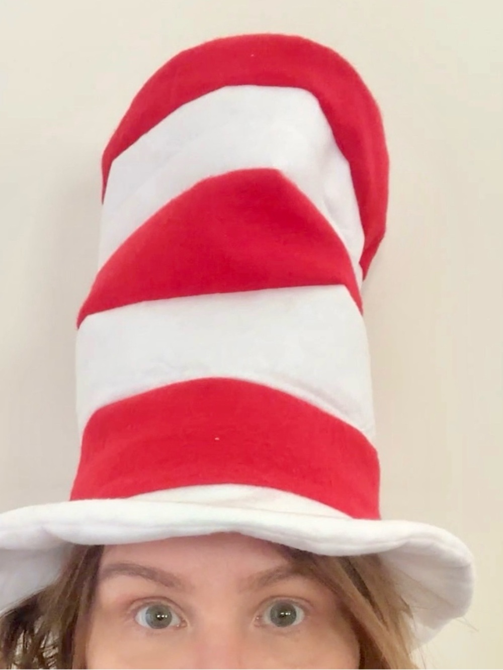 Cat In The Hat Costume Dr Seuss Red and White Striped Hat Halloween Dress Up